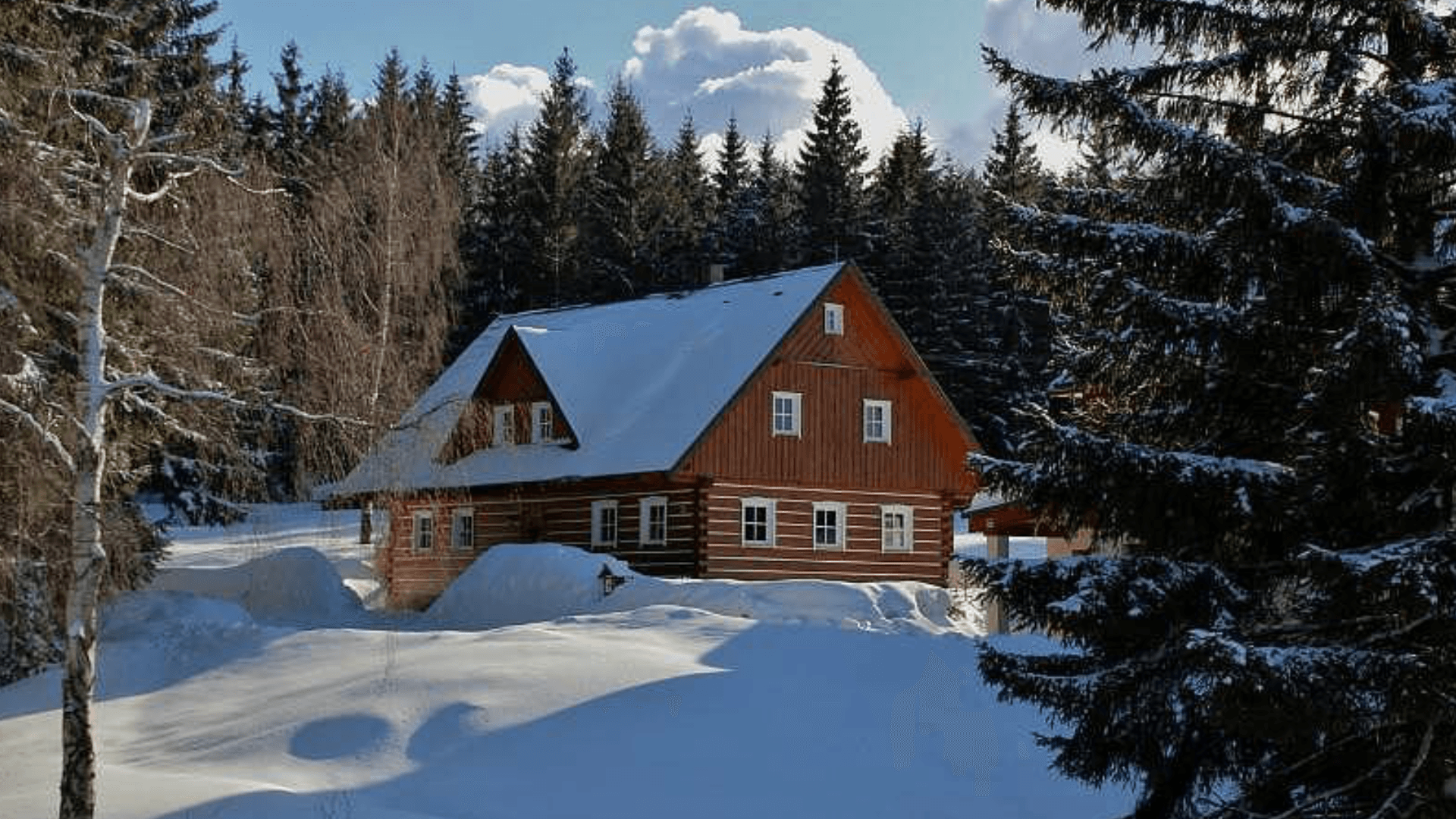 Ilustrační obrázek: Jelení kout